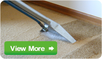 Carpet Cleaning Carpet Cleaning