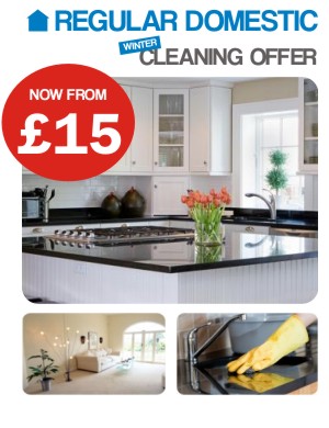 Regular Domestic Cleaning Winter Offer